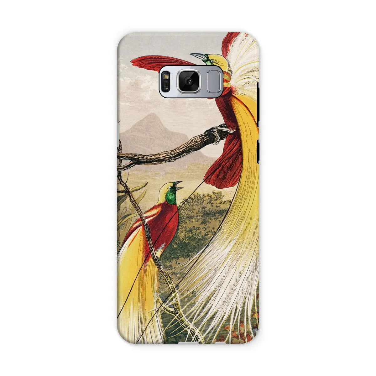 Bird Of Paradise - Animal Art Phone Case - Benjamin Fawcett - Samsung Galaxy S8 / Matte - Mobile Phone Cases