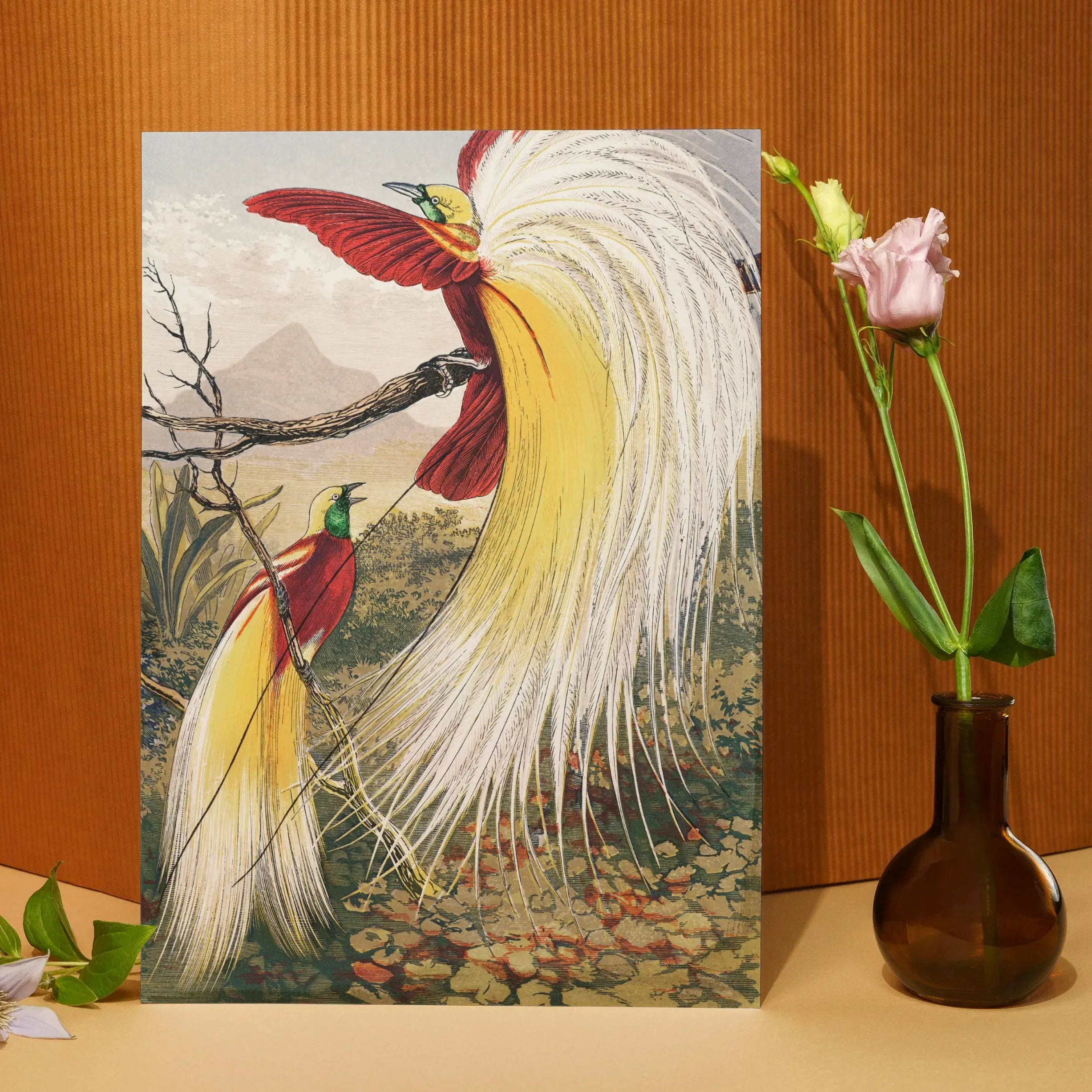 Bird Of Paradise By Benjamin Fawcett Greeting Card - Notebooks & Notepads - Aesthetic Art