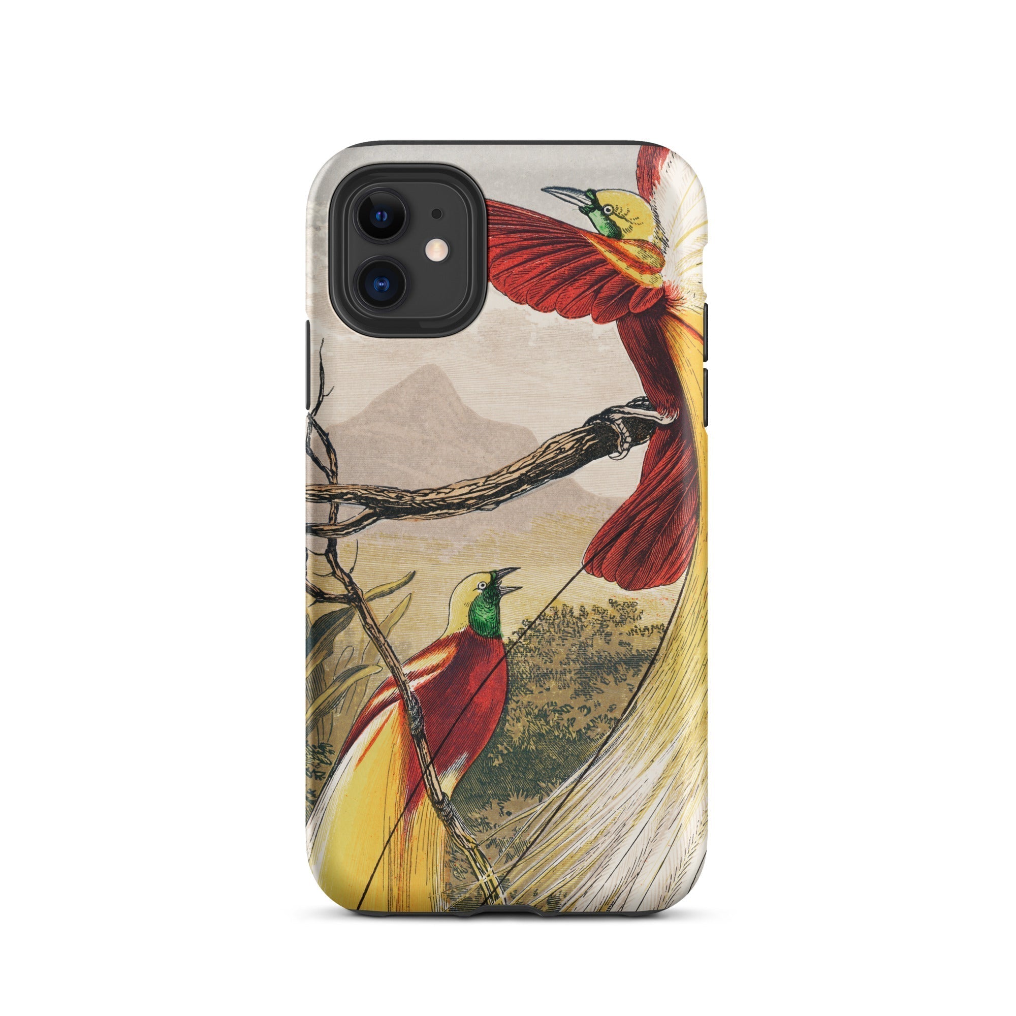 Bird of Paradise Benjamin Fawcett Iphone Case, 11 / Matte, Bird Themed Phone Case