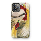Bird of Paradise - Benjamin Fawcett Iphone Case, 11 Pro / Matte, Phone Case Colorful Illustration Exotic Birds Long Tail