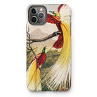 Bird of Paradise - Benjamin Fawcett Iphone Case, 11 Pro Max / Matte, Iphone Case Colorful Illustration Exotic Birds Long Tail