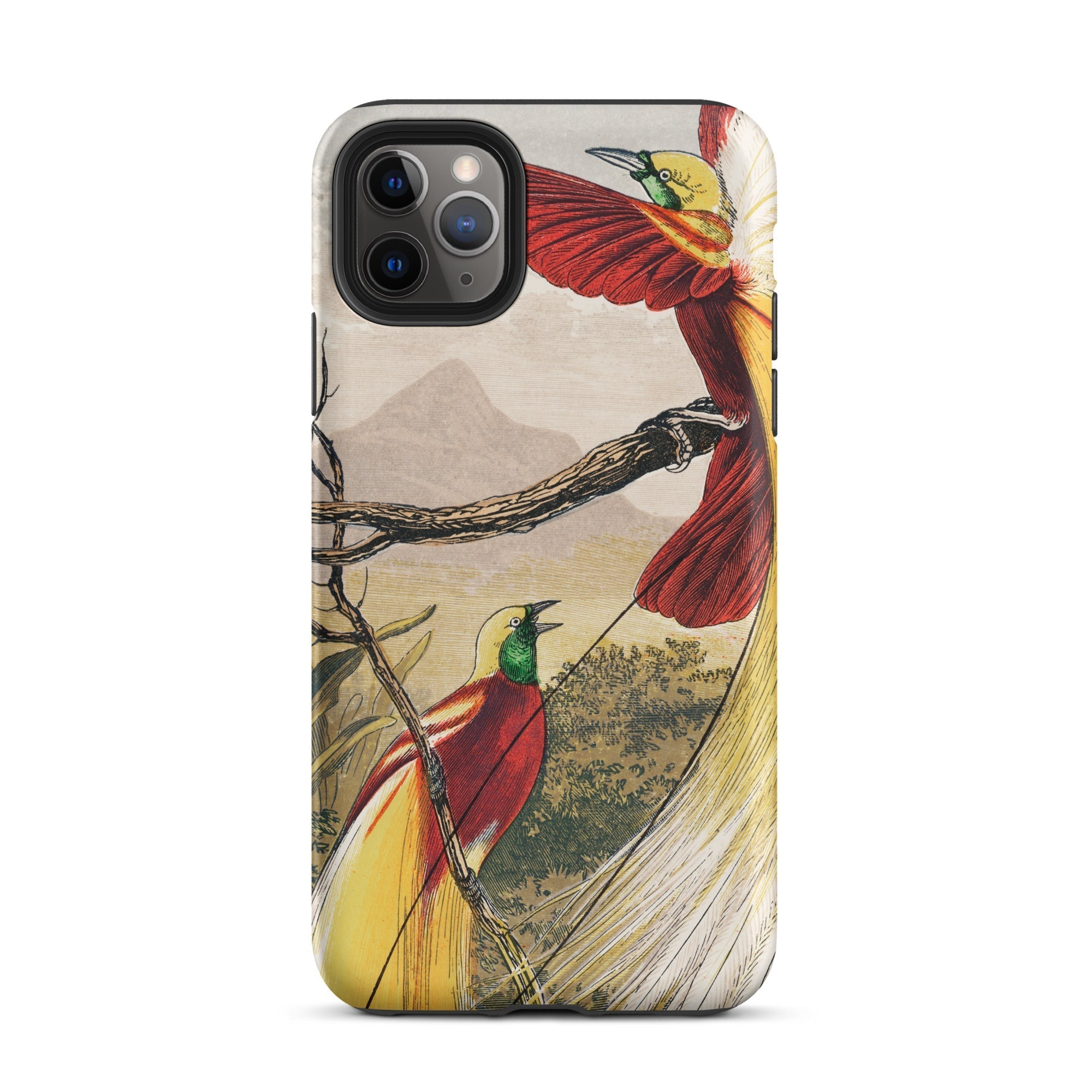 Bird of Paradise Benjamin Fawcett Iphone Case, 11 Pro Max / Matte, Bird Themed Iphone Case