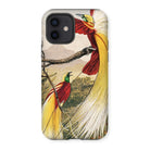 Bird of Paradise - Benjamin Fawcett Iphone Case, 12 / Matte, Phone Case Colorful Illustration Exotic Birds Long Tail