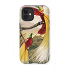 Bird of Paradise - Benjamin Fawcett Iphone Case, 12 Mini / Matte, Phone Case Colorful Illustration Exotic Birds Long Tail