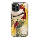Bird of Paradise - Benjamin Fawcett Iphone Case, 12 Pro / Matte, Phone Case Colorful Illustration Exotic Birds Long Tail