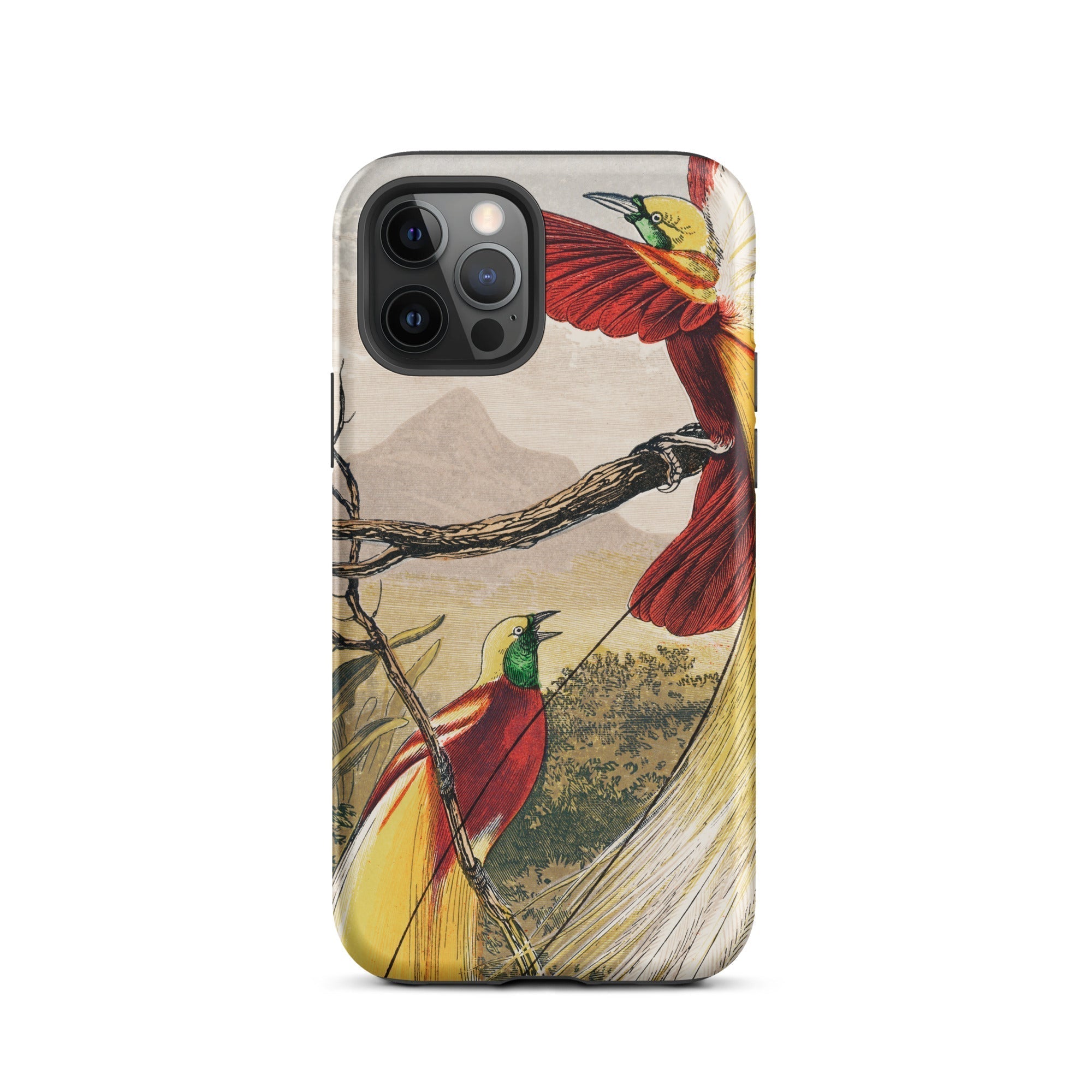 Bird of Paradise Benjamin Fawcett Iphone Case, 12 Pro / Matte, Bird Themed Iphone Case
