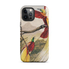 Bird of Paradise Benjamin Fawcett Iphone Case, 12 Pro Max / Matte, Bird Themed Iphone Case