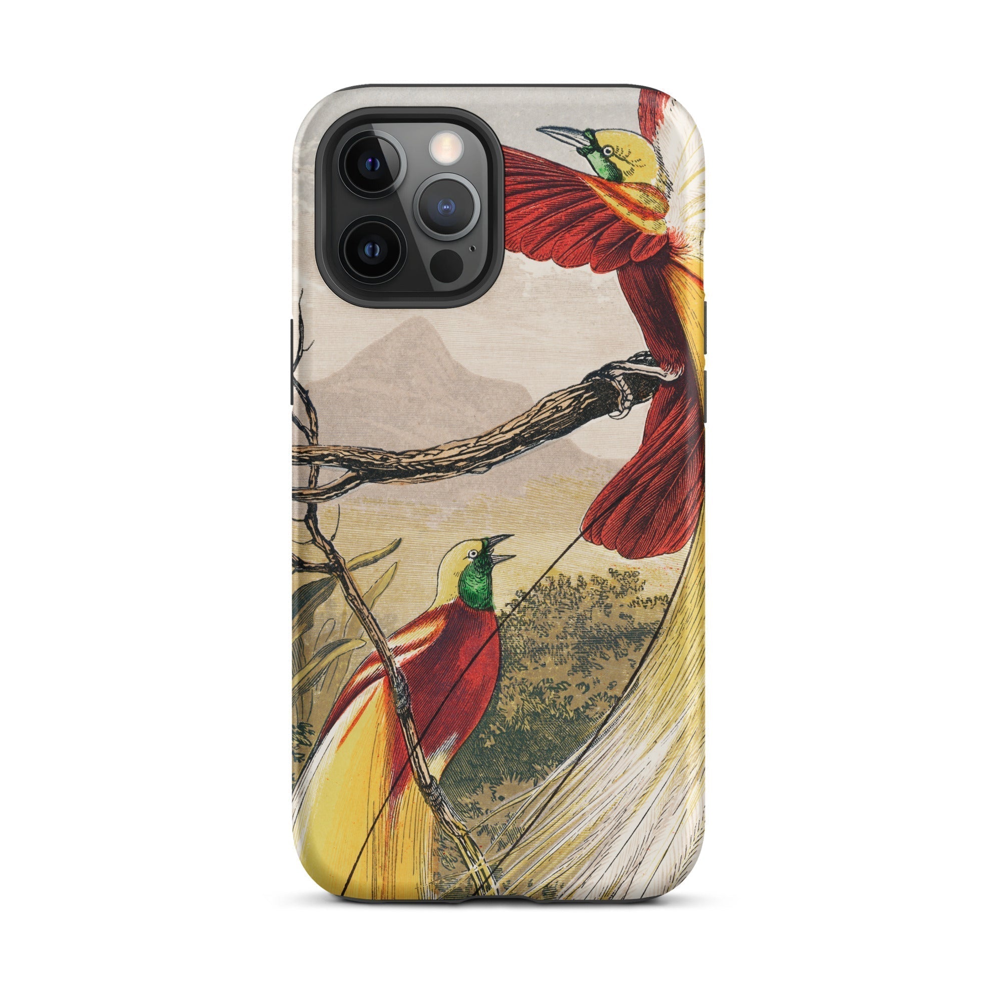 Bird of Paradise Benjamin Fawcett Iphone Case, 12 Pro Max / Matte, Bird Themed Iphone Case