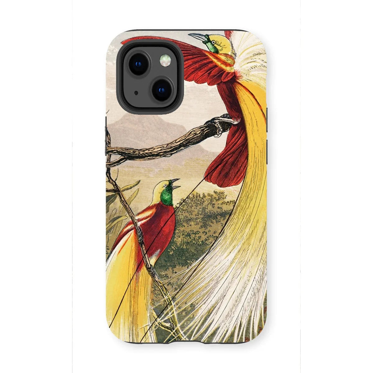 Bird of Paradise - Benjamin Fawcett Iphone Case, 13 Mini / Matte, Phone Case Colorful Illustration Exotic Birds Long Tail
