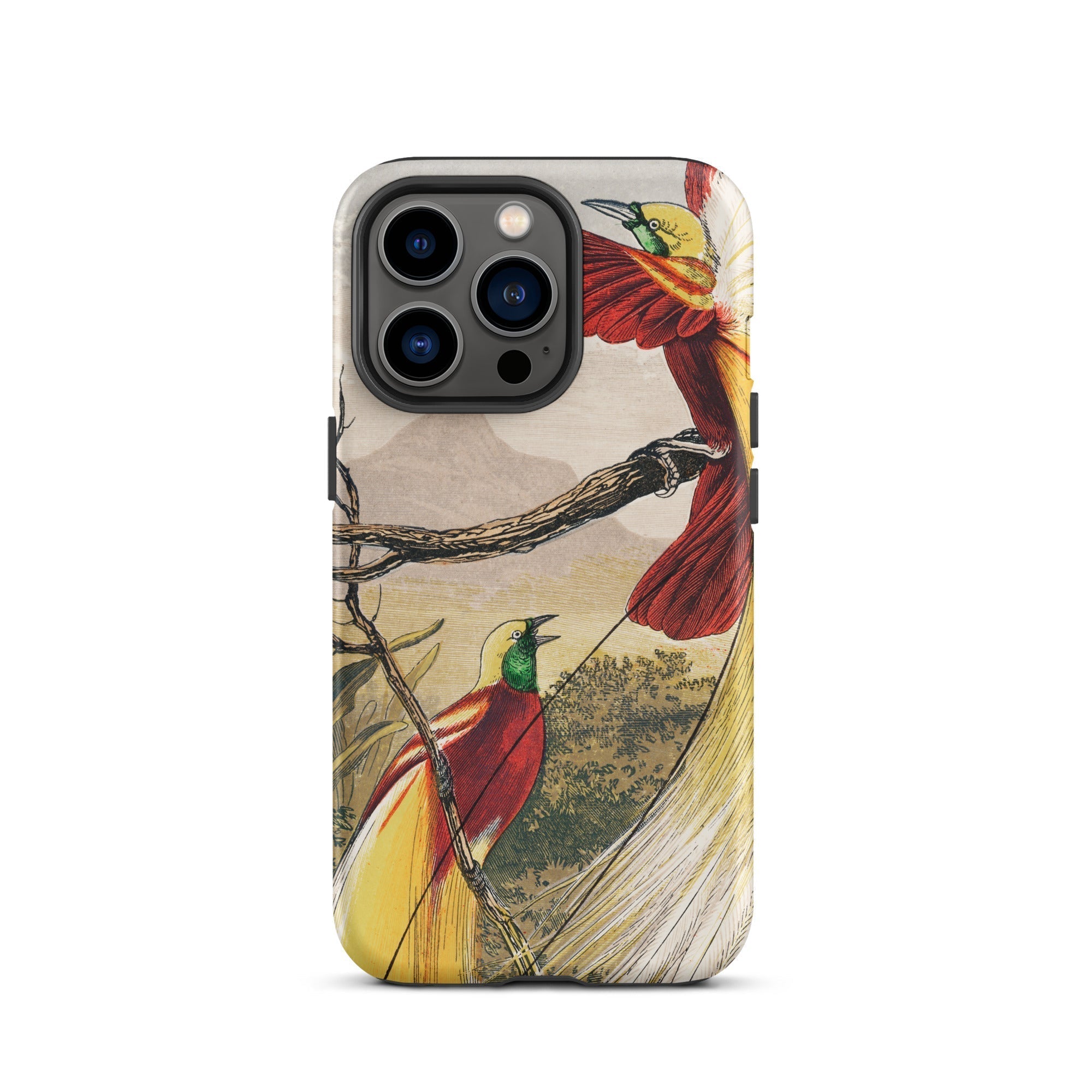 Bird of Paradise Benjamin Fawcett Iphone Case, 13 Pro / Matte, Bird Patterned Phone Case