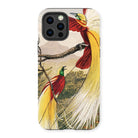 Bird of Paradise - Benjamin Fawcett Iphone Case, 13 Pro / Matte, Phone Case Colorful Illustration Exotic Birds Long Tail