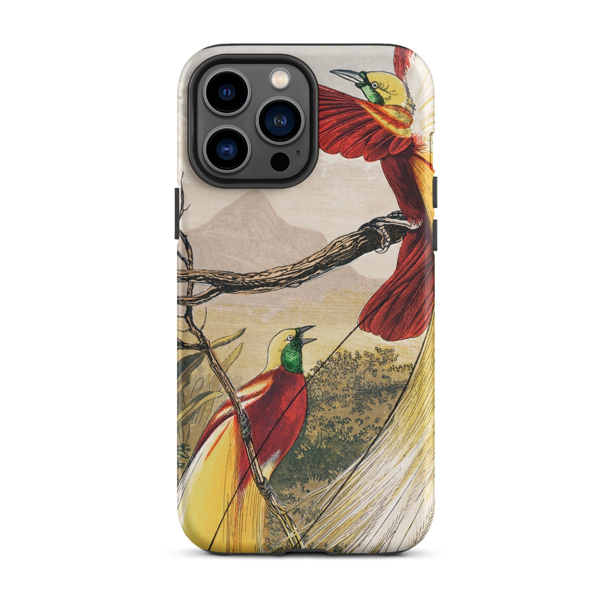 Bird of Paradise Benjamin Fawcett Iphone Case, 13 Pro Max / Matte, Bird Themed Phone Case