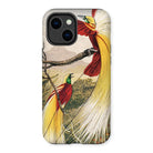 Bird of Paradise - Benjamin Fawcett Iphone Case, 14 Plus / Matte, Phone Case Colorful Illustration Exotic Birds Long Tail