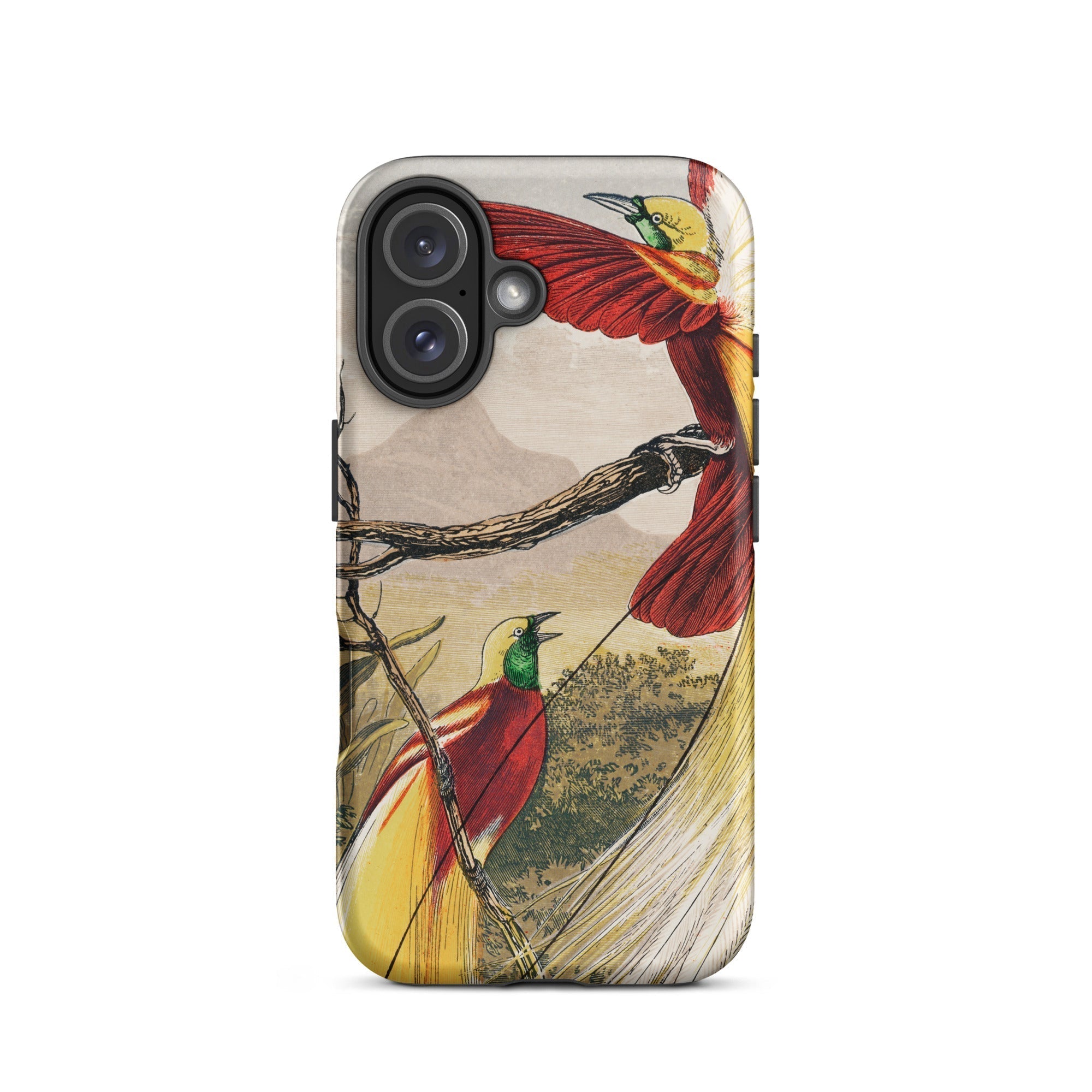 Bird of Paradise Benjamin Fawcett Iphone Case, 16 / Matte, Bird Themed Phone Case