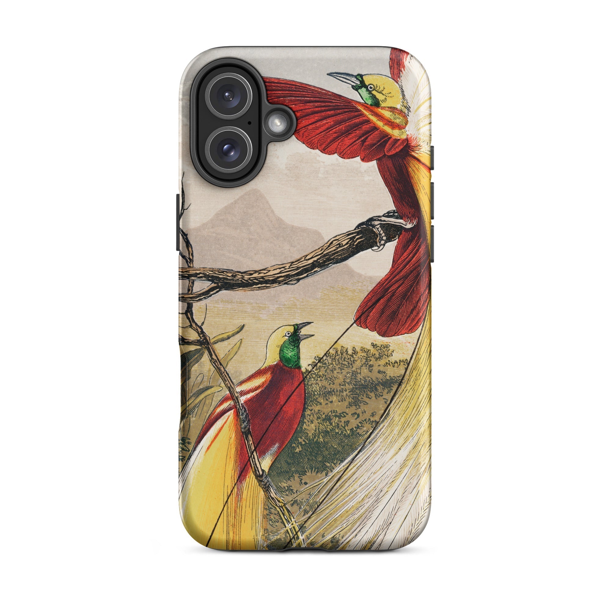 Bird of Paradise Benjamin Fawcett Iphone Case, 16 Plus / Matte, Phone Case Bird Paradise Design