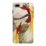 Bird of Paradise - Benjamin Fawcett Iphone Case, 8 Plus / Matte, Phone Case Colorful Illustration Exotic Birds Long Tail