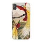 Bird of Paradise - Benjamin Fawcett Iphone Case, x / Matte, Phone Case Colorful Illustration Exotic Birds Long Tail