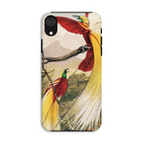 Bird of Paradise - Benjamin Fawcett Iphone Case, Xr / Matte, Phone Case Colorful Illustration Exotic Birds Long Tail
