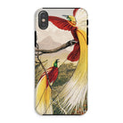 Bird of Paradise - Benjamin Fawcett Iphone Case, Xs / Matte, Phone Case Colorful Illustration Exotic Birds Long Tail
