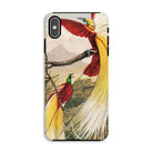Bird of Paradise - Benjamin Fawcett Iphone Case, Xs Max / Matte, Phone Case Colorful Illustration Exotic Birds Long Tail