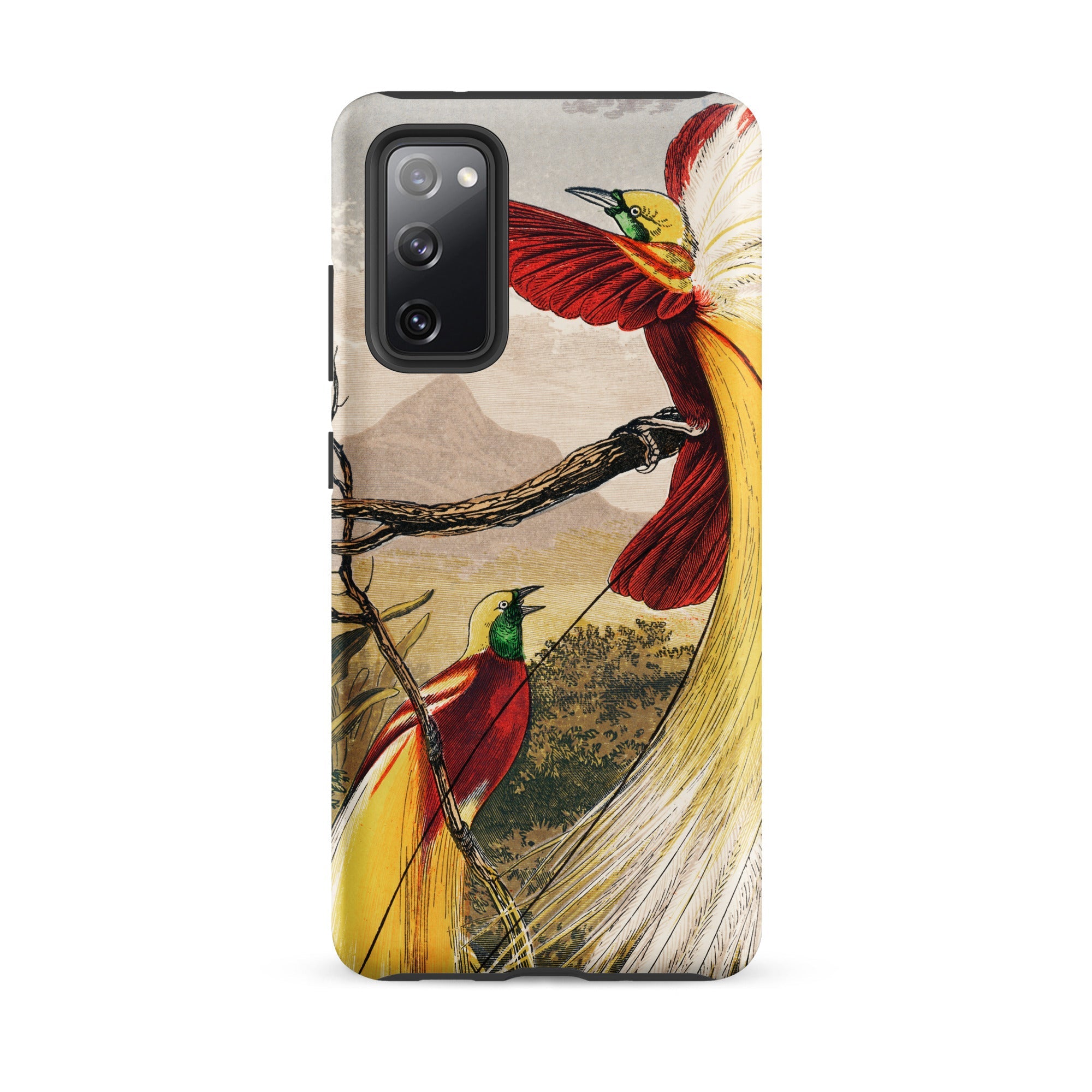 Bird of Paradise Benjamin Fawcett Samsung Case, Galaxy S20 Fe / Matte, Phone Case Illustration Two Birds Paradise Branch