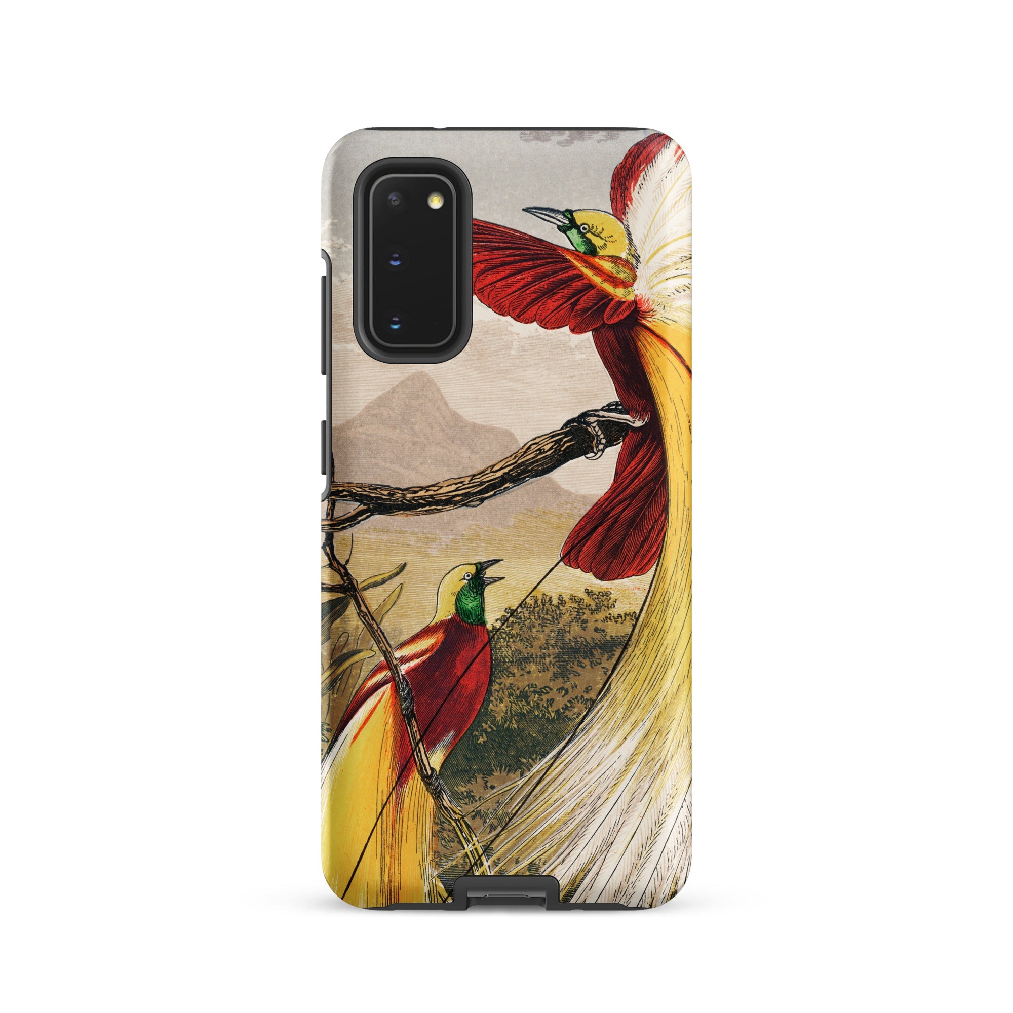 Bird of Paradise Benjamin Fawcett Samsung Case, Galaxy S20 / Matte, Phone Case Two Birds Paradise Branch