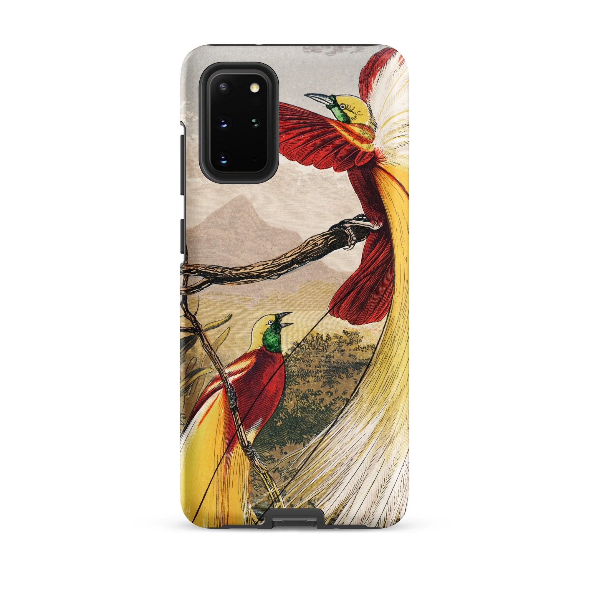 Bird of Paradise Benjamin Fawcett Samsung Case, Galaxy S20 Plus / Matte, Phone Case Illustration Two Birds Paradise Branch Mountains