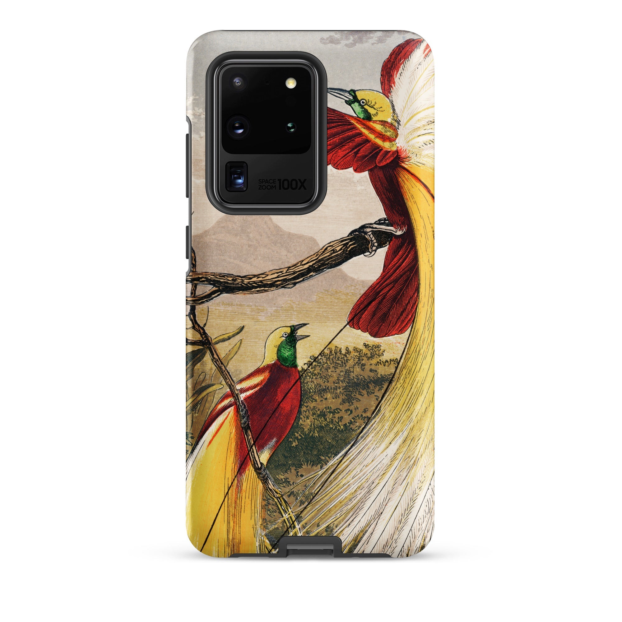 Bird of Paradise Benjamin Fawcett Samsung Case, Galaxy S20 Ultra / Matte, Smartphone Case Artistic Illustration Two Birds Paradise Branch
