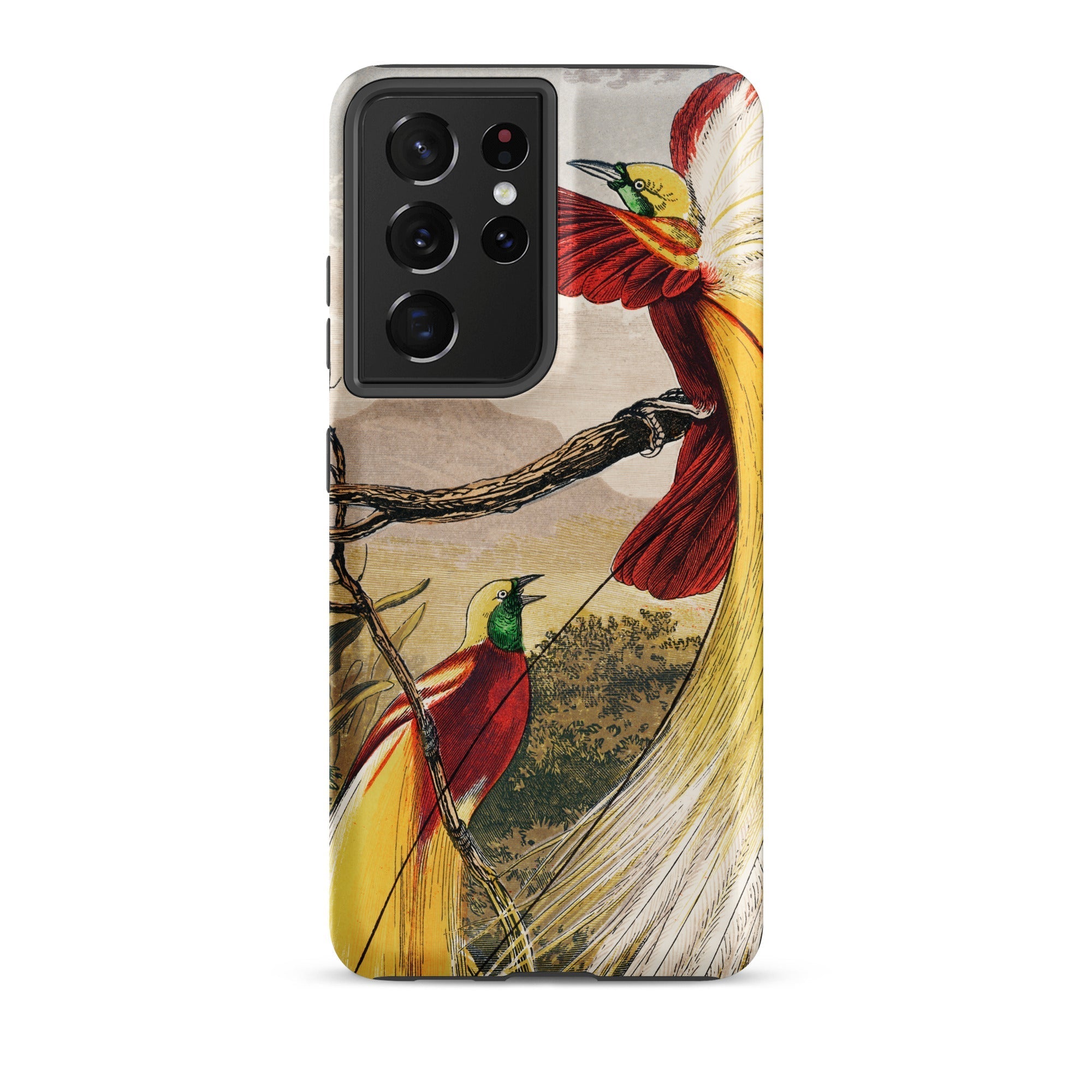Bird of Paradise Benjamin Fawcett Samsung Case, Galaxy S21 Ultra / Matte, Phone Case Vibrant Illustration Two Birds Paradise Branch