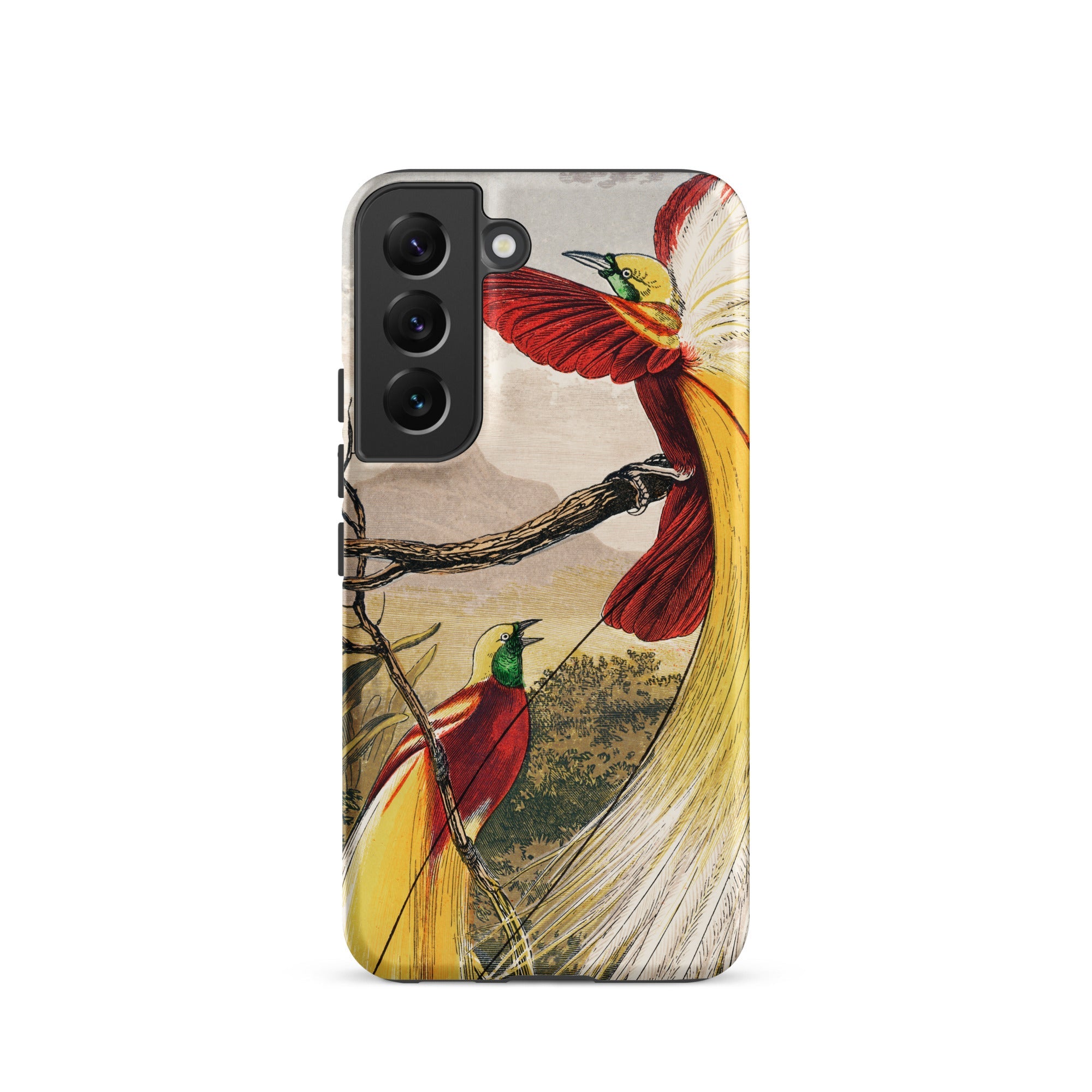Bird of Paradise Benjamin Fawcett Samsung Case, Galaxy S22 / Matte, Smartphone Colorful Bird Illustration Case