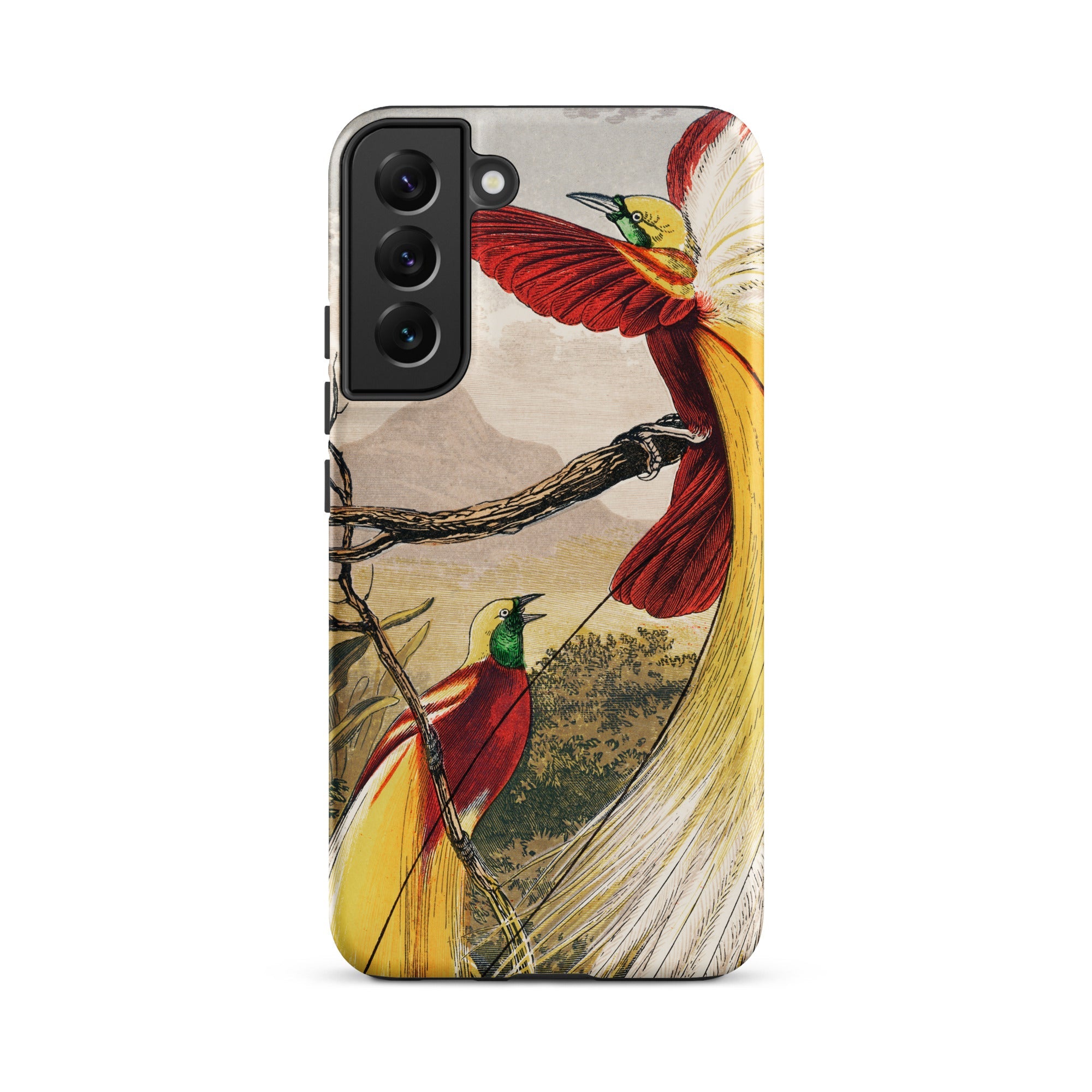 Bird of Paradise Benjamin Fawcett Samsung Case, Galaxy S22 Plus / Matte, Smartphone Case Illustration Two Birds Paradise Branch