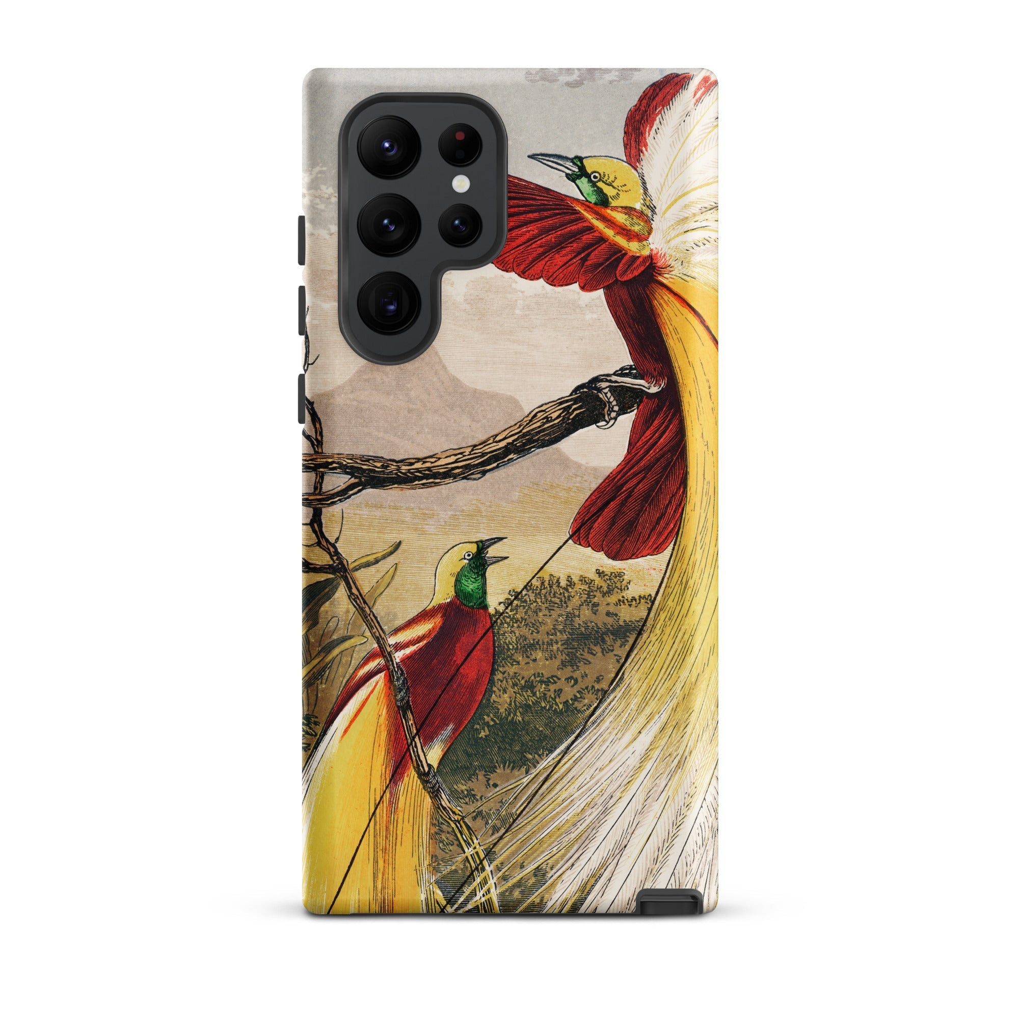 Bird of Paradise Benjamin Fawcett Samsung Case, Galaxy S22 Ultra / Matte, Smartphone Colorful Bird Design Case