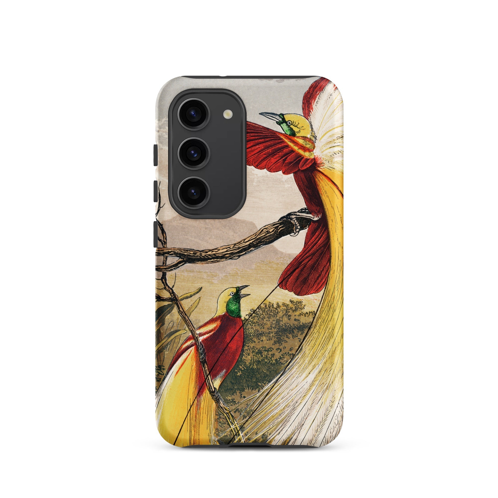 Bird of Paradise Benjamin Fawcett Samsung Case, Galaxy S23 / Matte, Smartphone Case Vibrant Illustration Two Birds Paradise Perched Branches
