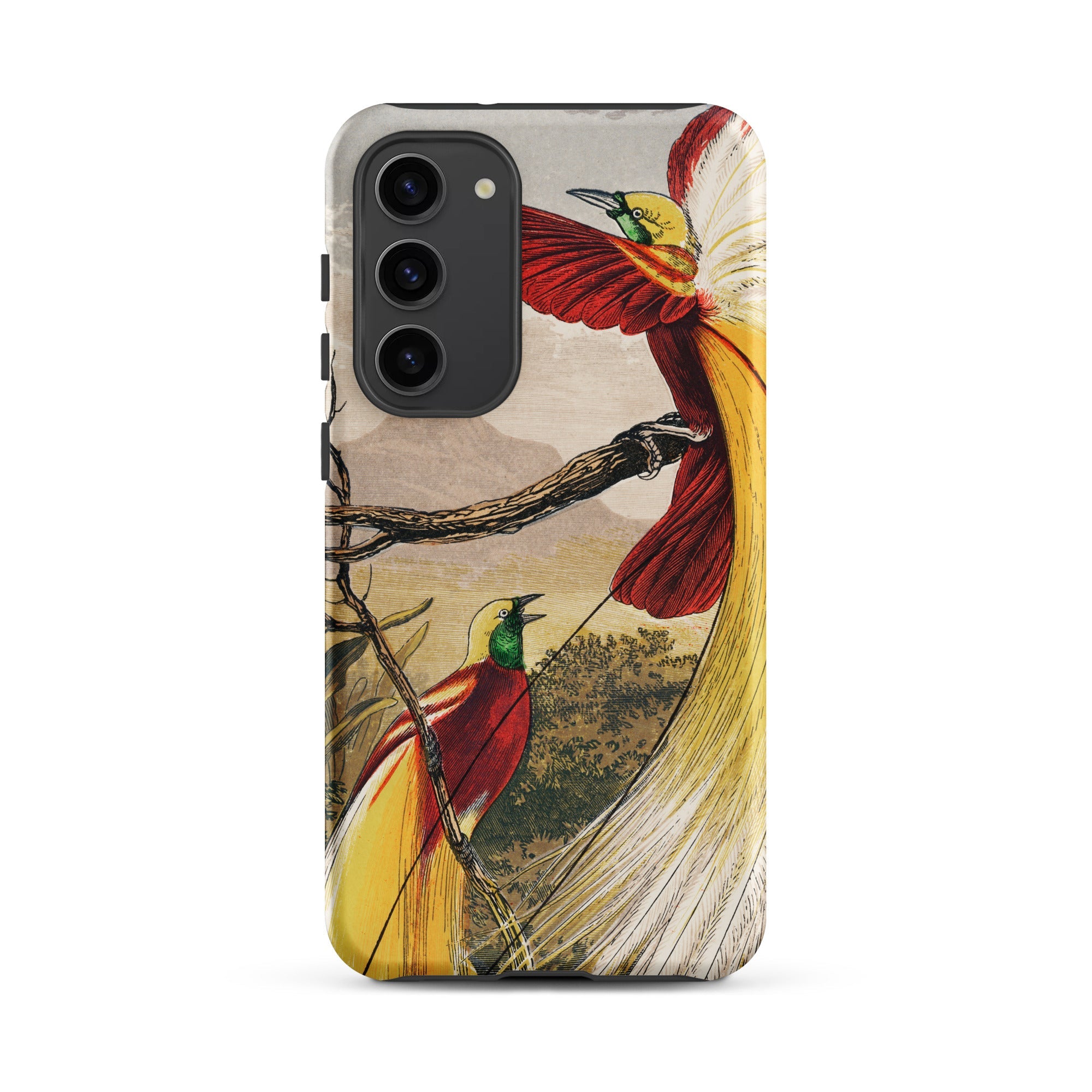 Bird of Paradise Benjamin Fawcett Samsung Case, Galaxy S23 Plus / Matte, Phone Case Illustration Two Birds Paradise Branch