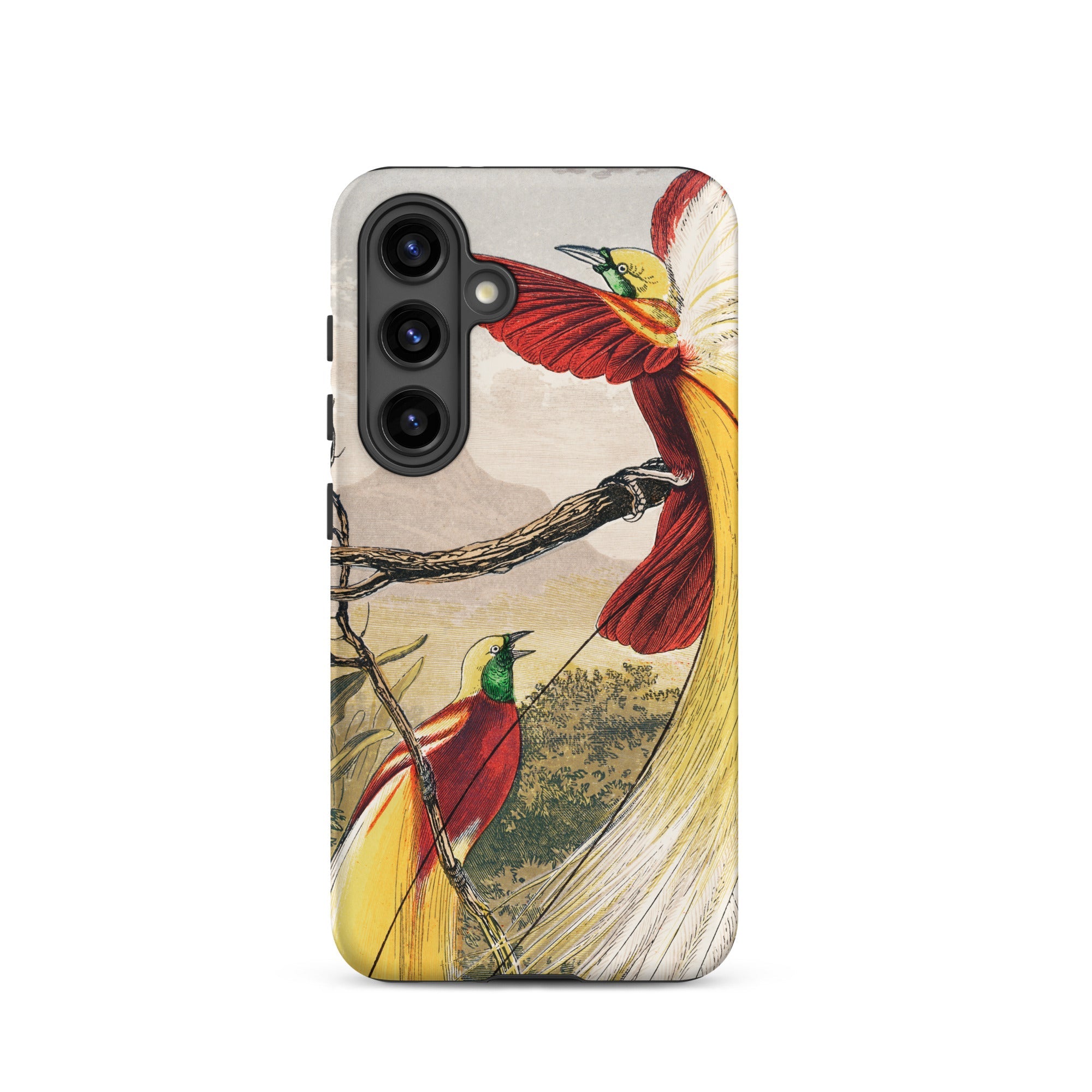 Bird of Paradise Benjamin Fawcett Samsung Case, Galaxy S24 / Matte, Smartphone Case Illustration Two Birds Paradise Branch
