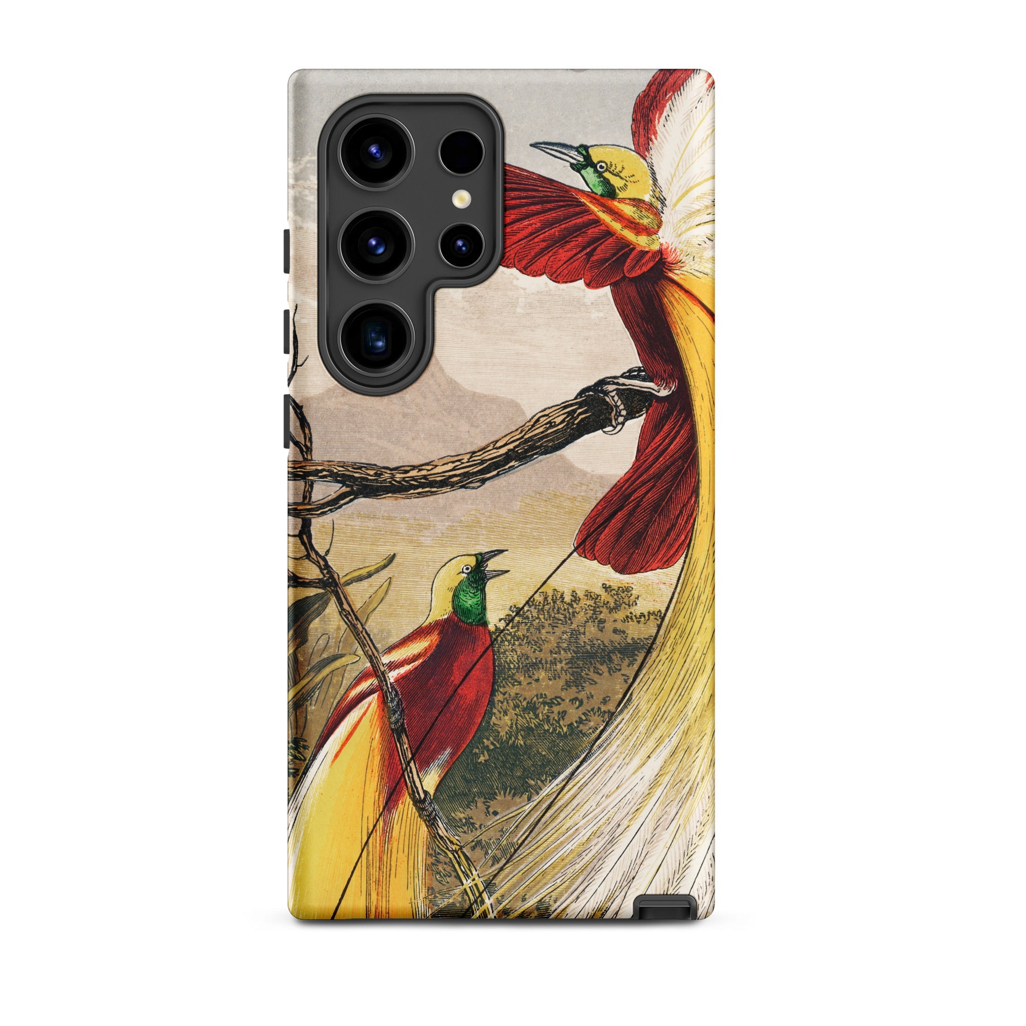 Bird of Paradise Benjamin Fawcett Samsung Case, Galaxy S24 Ultra / Matte, Phone Case Illustration Two Birds Paradise Branch