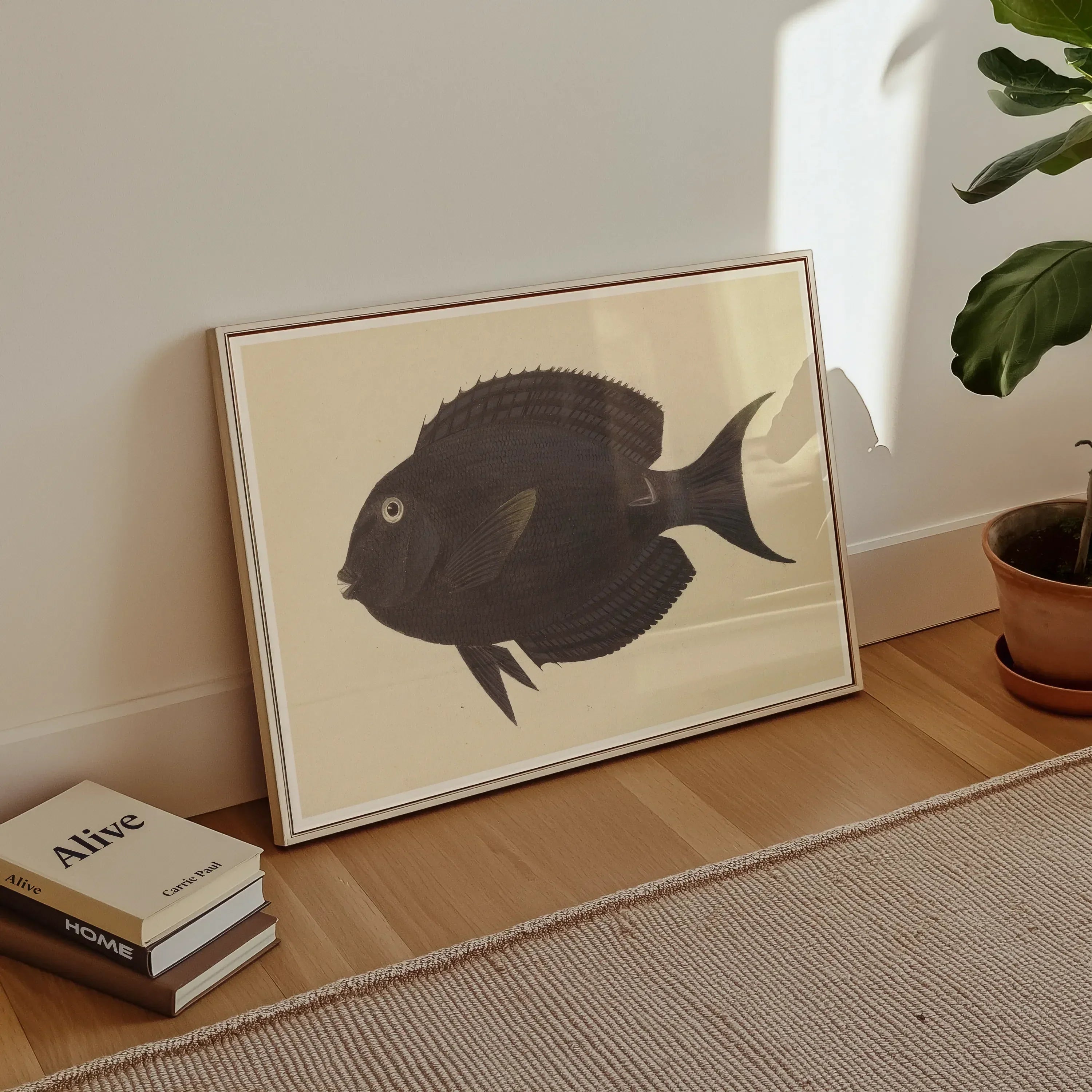 Black Surgeonfish Luigi Balugani Sea Life Art Print, 30x20’’ / 76x51cm / Unframed, Framed Black Fish Illustration Beige Background