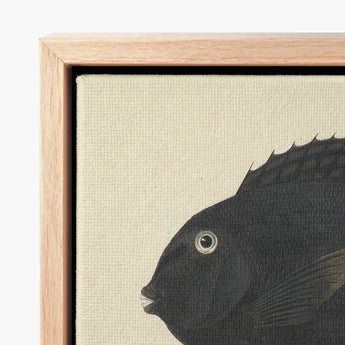 Black Fish Artwork Off-white Canvas Framed Light Wood Luigi Balugani, Midnight-hued Glides, Sea Life