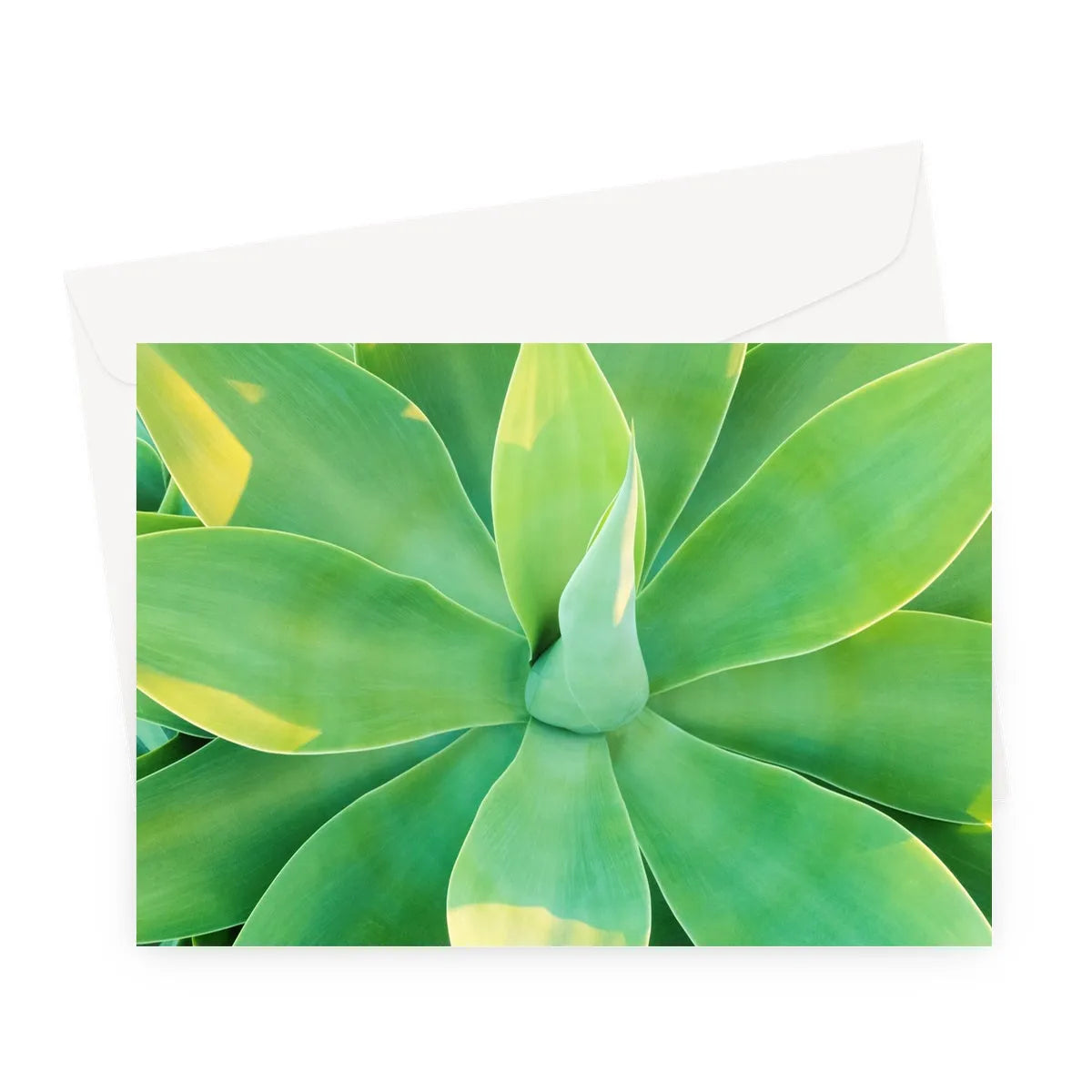 In Bloom Too Greeting Card - A5 Landscape / 1 Card - Greeting & Note Cards - Aesthetic Art