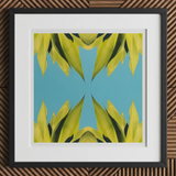 In Bloom - Modern Succulent Photography Art Print, 12x12’’ / 31x31cm / Black Frame / 2’’ Matboard, Framed Abstract Art Print Green Leaves