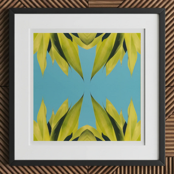 In Bloom - Modern Succulent Photography Art Print, 12x12’’ / 31x31cm / Black Frame / 2’’ Matboard, Framed Abstract Art Print Green Leaves
