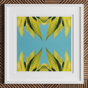 In Bloom - Modern Succulent Photography Art Print, 12x12’’ / 31x31cm / White Frame / 2’’ Matboard, Framed Abstract Art Print Yellow-green