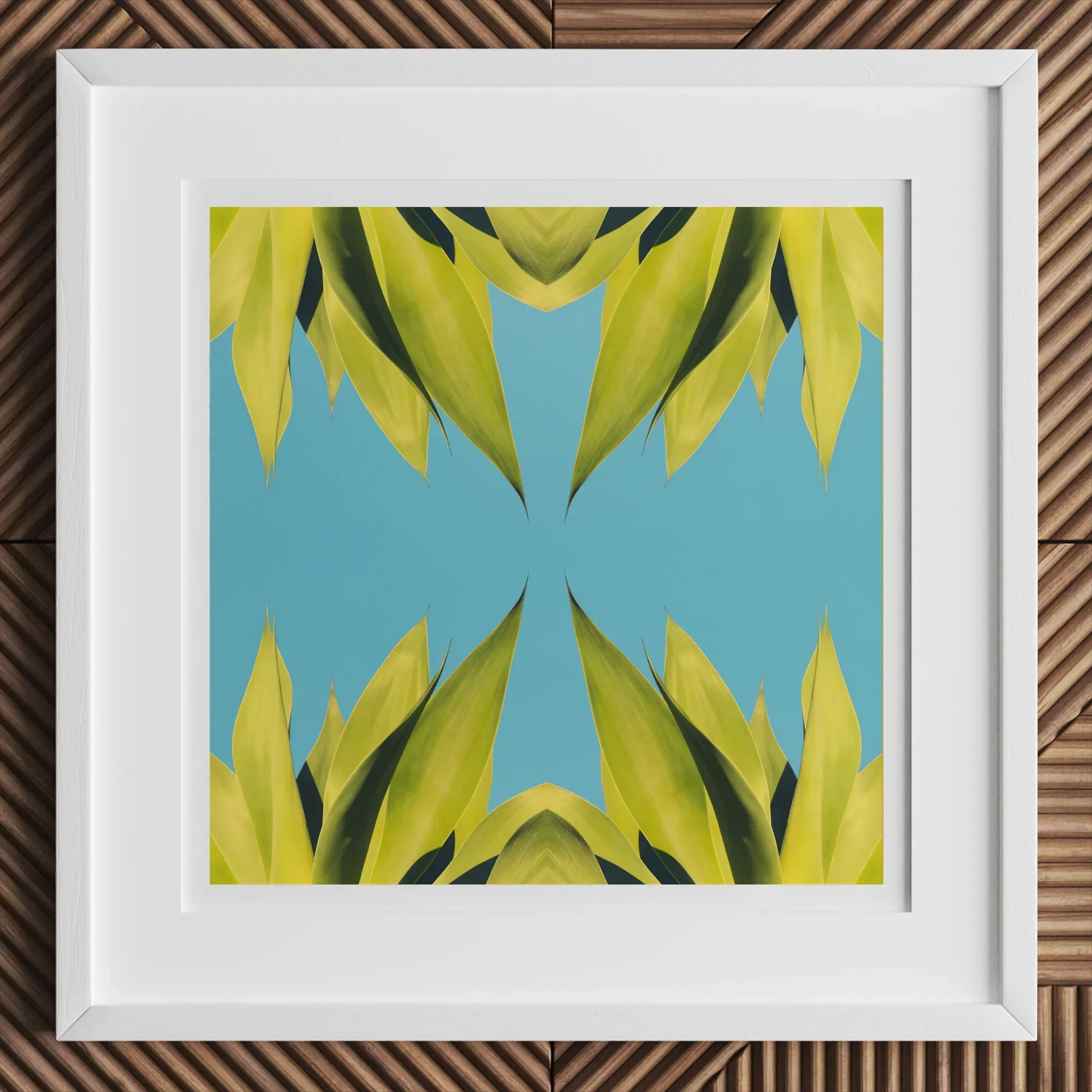 In Bloom - Modern Succulent Photography Art Print, 12x12’’ / 31x31cm / White Frame / 2’’ Matboard, Framed Abstract Art Print Yellow-green
