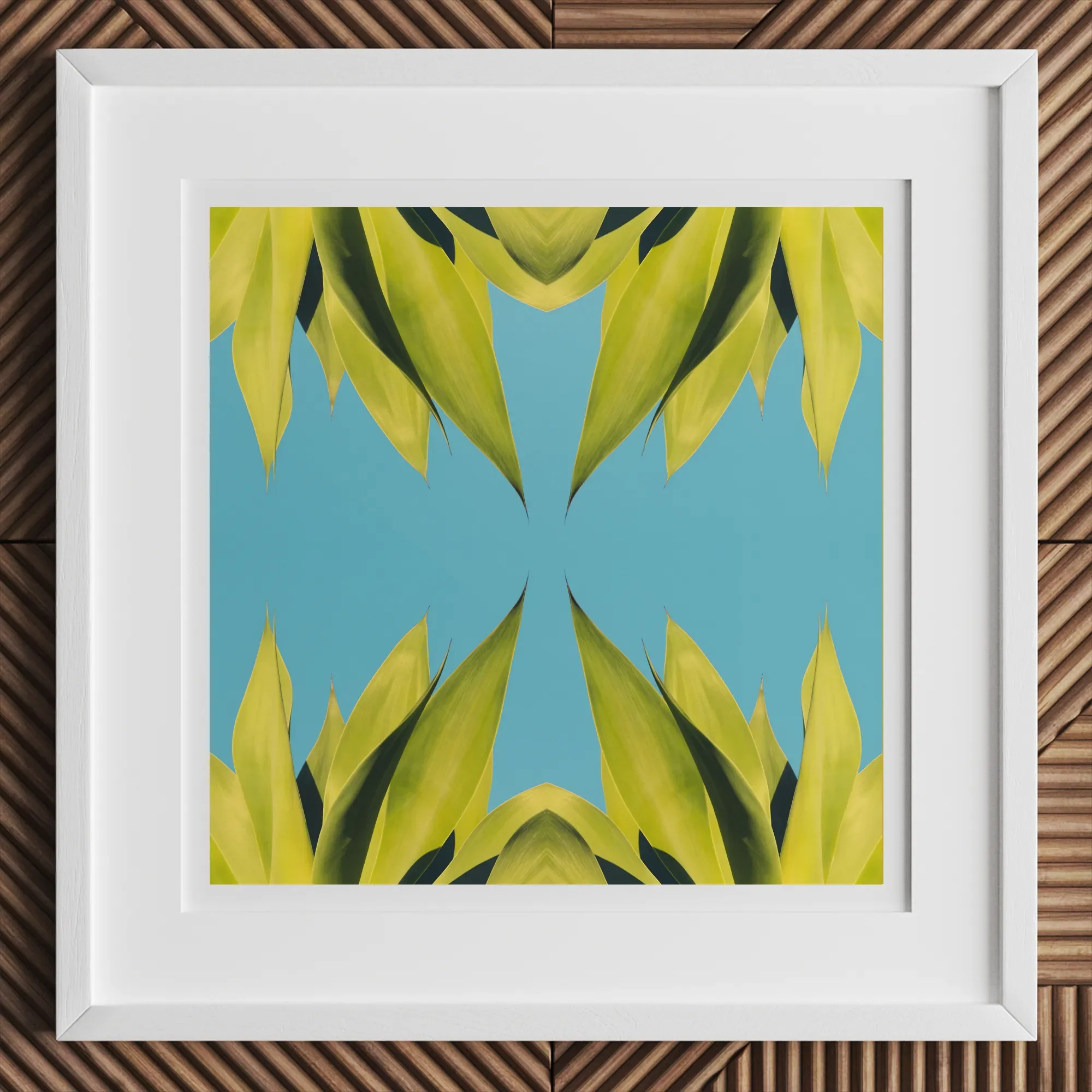 In Bloom - Modern Succulent Photography Art Print, 12x12’’ / 31x31cm / White Frame, Framed Abstract Art Print Yellow-green Leaves Blue