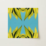 In Bloom - Modern Succulent Photography Art Print / Canvas, 12x12’’ / 31x31cm / Unframed / no Border, Posters Prints & Visual Artwork, Toby