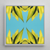 In Bloom - Tirage d’art photographique moderne de succulente / Toile, 12x12’’ / 31x31cm / Cadre blanc, Posters, estampes & œuvres d’art visuel, Toby Leon