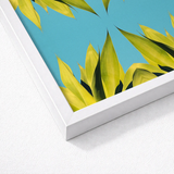 White-framed Artwork Vibrant Yellow-green Succulent Leaves Bright Turquoise Avant-garde Photography, Trippy Modern, Botany Meets Optical
