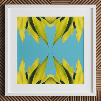 In Bloom - Modern Succulent Photography Art Print / Canvas Framed Artwork Symmetrical Kaleidoscopic Pattern Vibrant Yellow-green Leaves