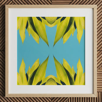 In Bloom - Modern Succulent Photography Art Print / Canvas Square-framed Abstract Painting Symmetrical Vibrant Yellow-green Leaf Shapes