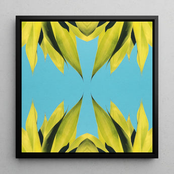 In Bloom - Modern Succulent Photography Art Print / Canvas Square-framed Canvas Art Piece Symmetrical Abstract Design Vibrant Avant-garde